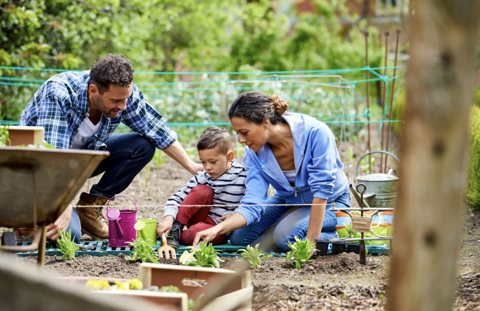 A family gardening.